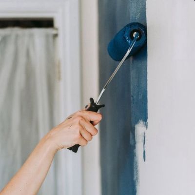 Avatar for VECtrum Pro Painting