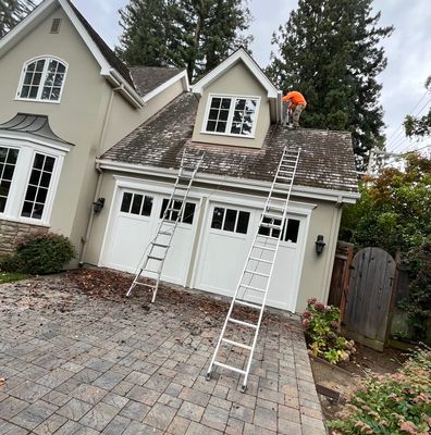 Avatar for Uriel V. Painting