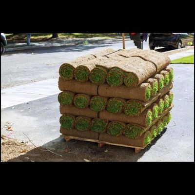 Avatar for martinez landscaping and repairs LLC