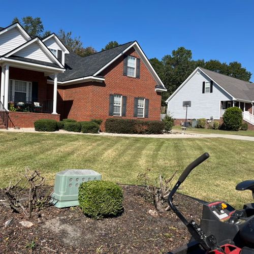 Rejuvenation lawn care