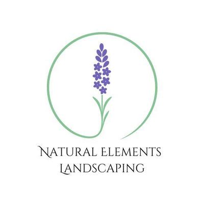 Avatar for Natural Elements