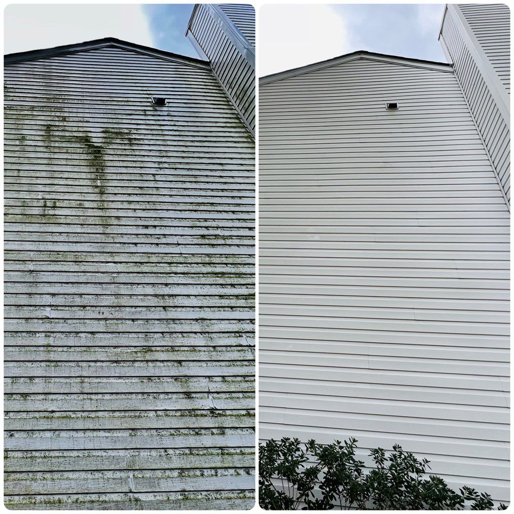 Siding cleaning 