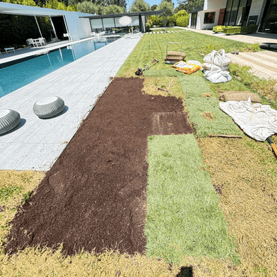 Avatar for Luna Landscape