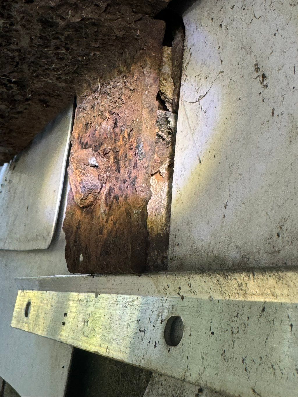 I can’t always spot Waldo, but I know mold/rotting