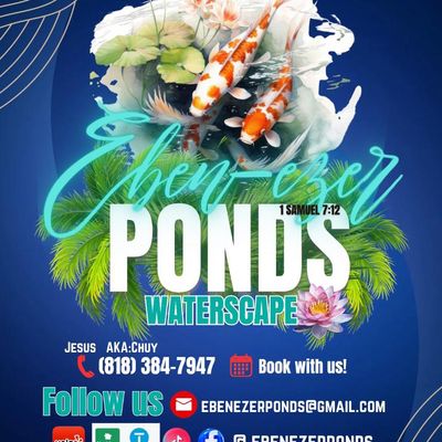 Avatar for ebenezer Ponds