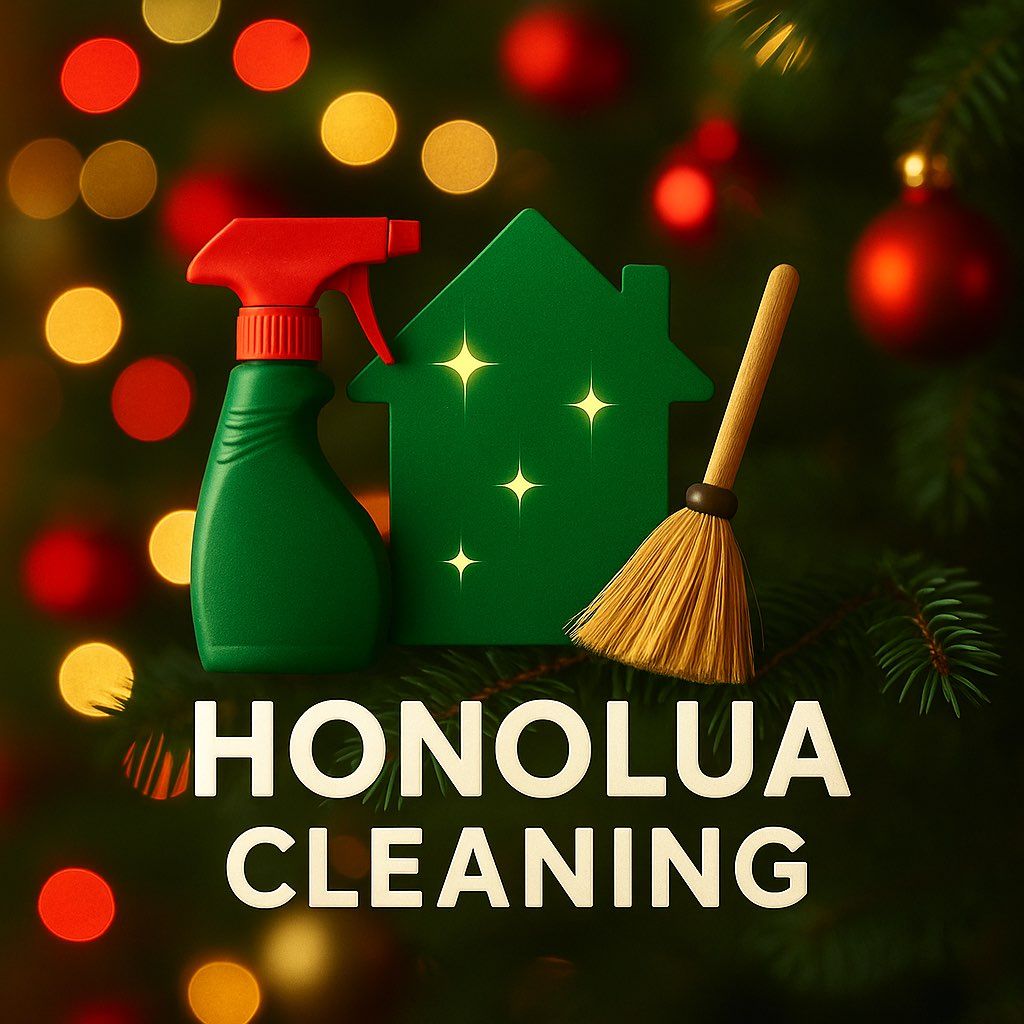 A Clean Home for Christmas! ✨🫧🎄