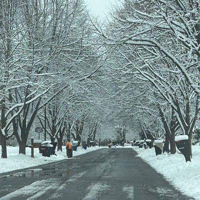 Avatar for R&R cleaning services and painting