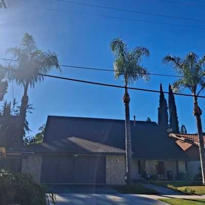 Avatar for Rogelio's Gardning & Trimming Service