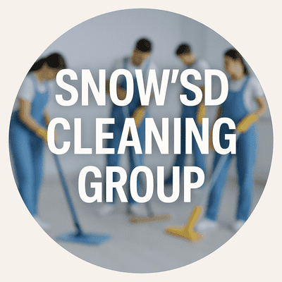 Avatar for SNOW’SD CLEANING GROUP