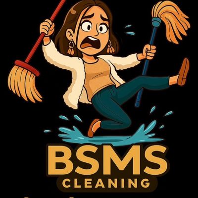 Avatar for BSMS cleaning