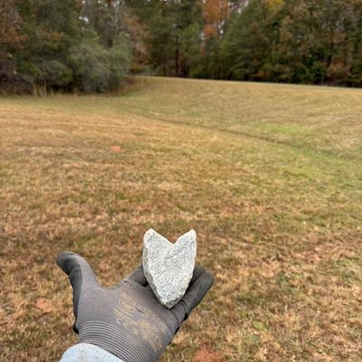 Avatar for T-C LANDSCAPING