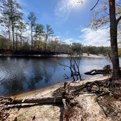 Avatar for Next Level Home & Property Services