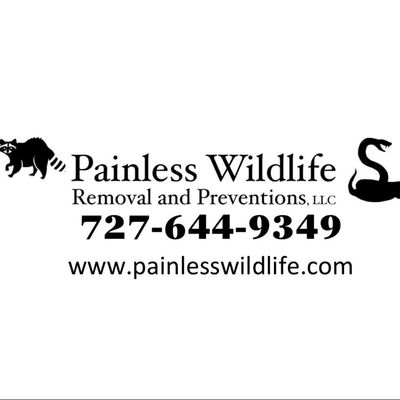 Avatar for Painless Wildlife Removal and Preventions, LLC