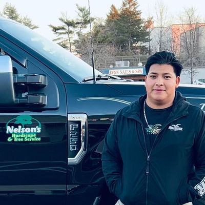 Avatar for Nelson’s Hardscape & Tree Service Inc