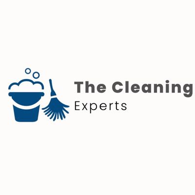 Avatar for The Cleaning Experts