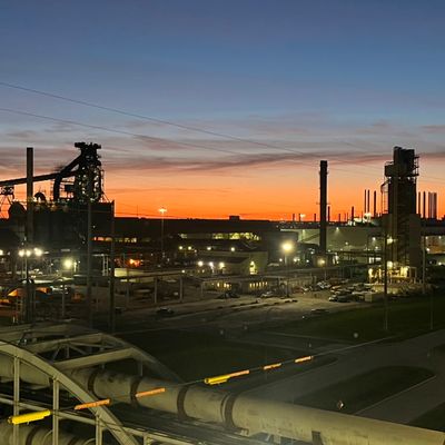 Avatar for SG Services