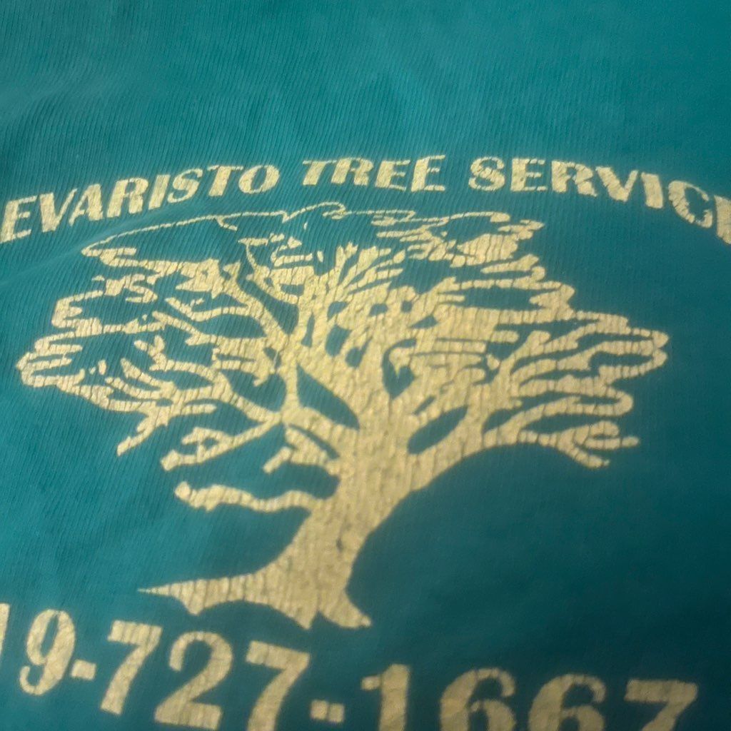 Evaristo tree service