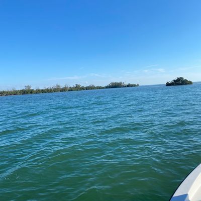 Avatar for P and g movers