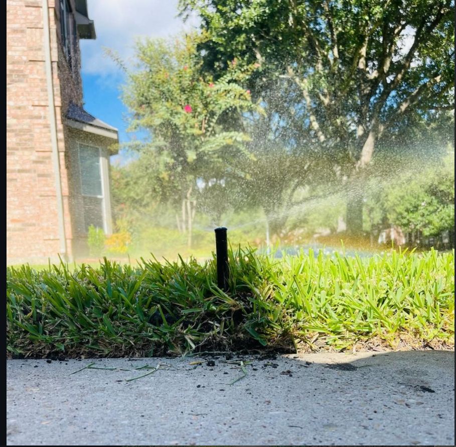 ✨ Slow & Steady Wins the Landscape Race! 💧