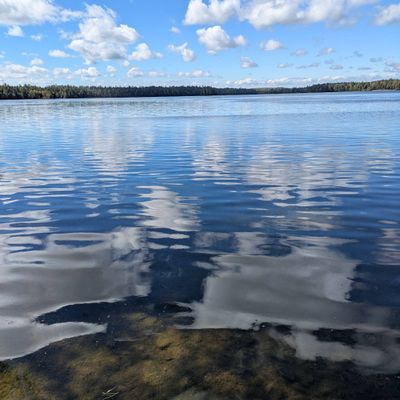 Avatar for LKJ Property Maintenance