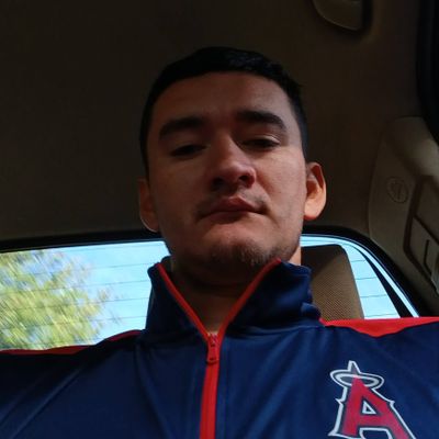 Avatar for Dario's Landscaping & Tree Service