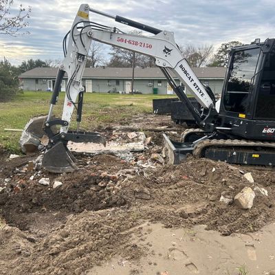 Avatar for Bobcat Steve