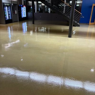 Avatar for First insight cleaning