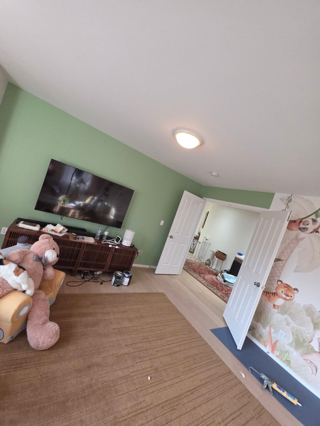 Living room Green Color 