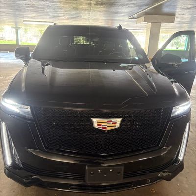 Avatar for laura transport