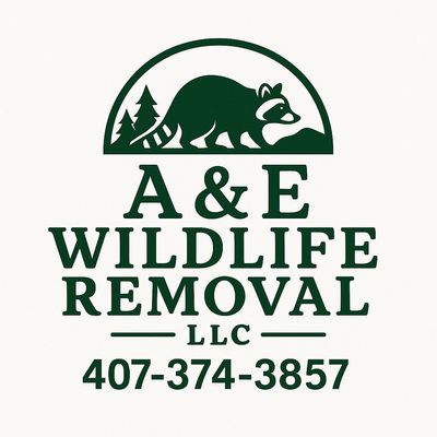 Avatar for A&E Wildlife Removal
