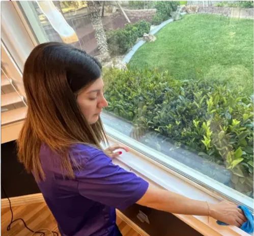 Detail cleaning window sills and frames for a fres