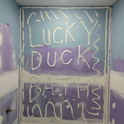 Avatar for Lucky Duck Bathroom Co and White's Home Services