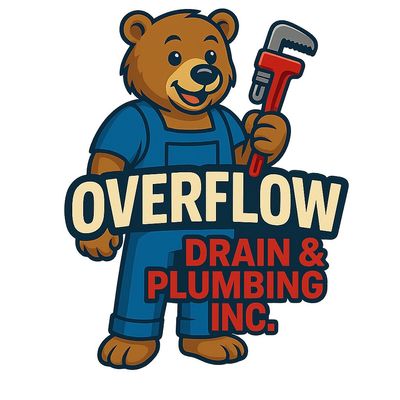 Avatar for Overflow drain and plumbing
