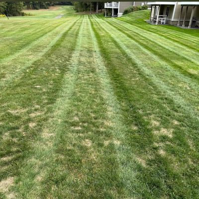 Avatar for Divine view