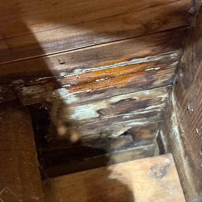 Avatar for Garcia Restoration & cleaning