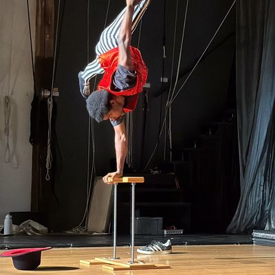 Avatar for Yogi Bear’s Health and Wellness LLC