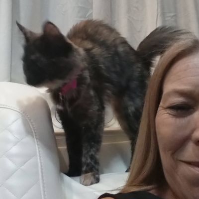 Avatar for Tam Clean