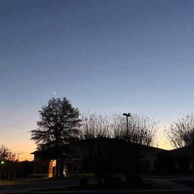 Avatar for Girls painting