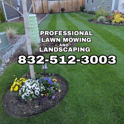 Avatar for Professional lawn Service
