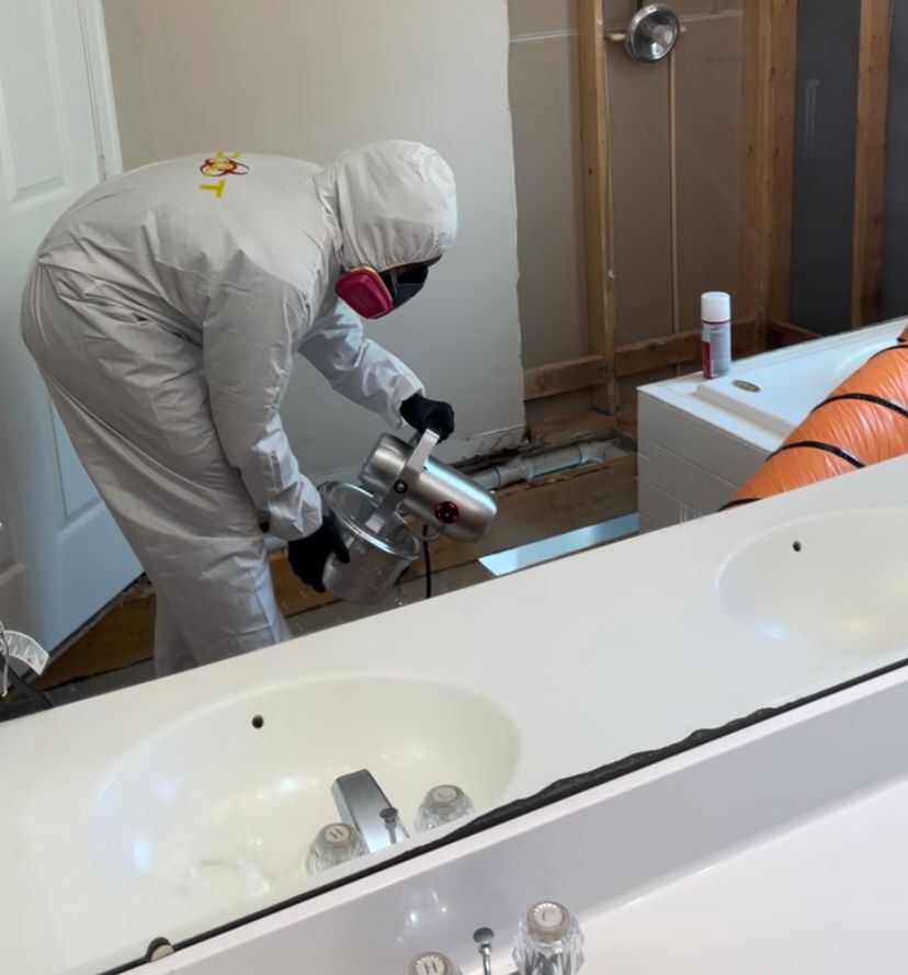 Mold Remediation services can be complex, costly a