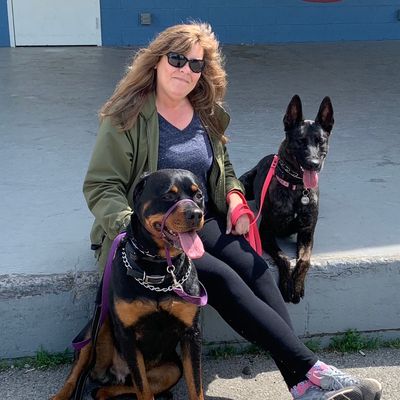 Avatar for KV Dog Training