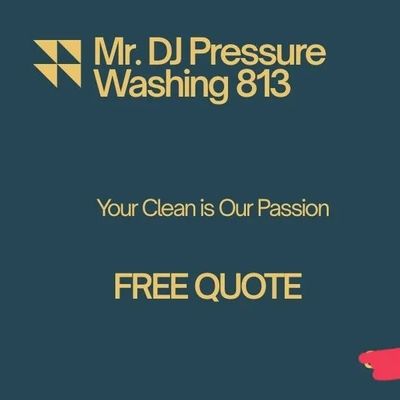 Avatar for Mr DJ pressure washing 813