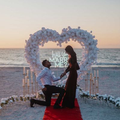 Avatar for Party Galore Tampa