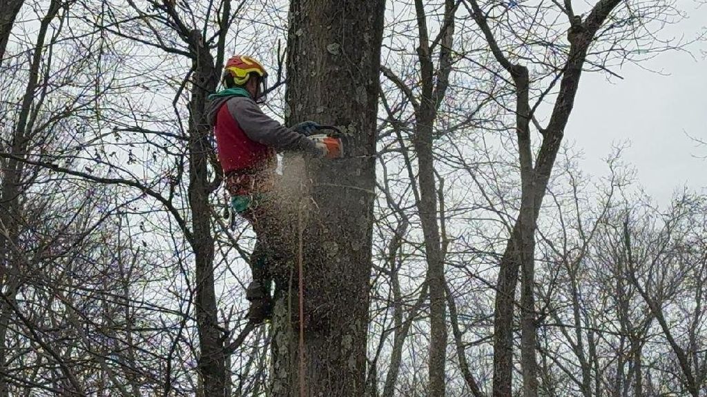 High Point Tree Service & Landcaping Llc | Lake Hopatcong, NJ