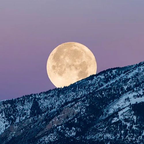 Cold Moon Mechanical