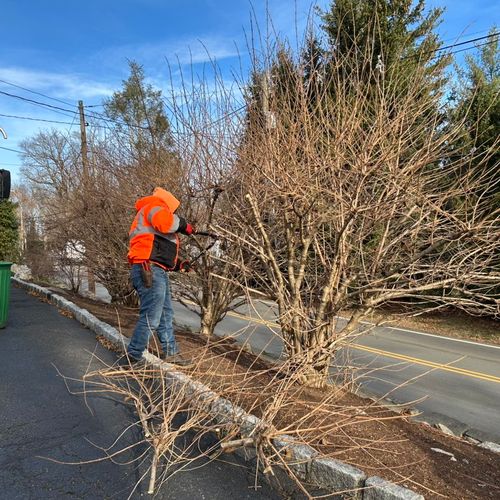 N.joellandscapingllc