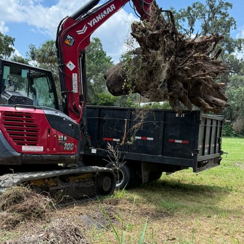 Best Tree Stump Grinding and Removal in Lakeland, FL