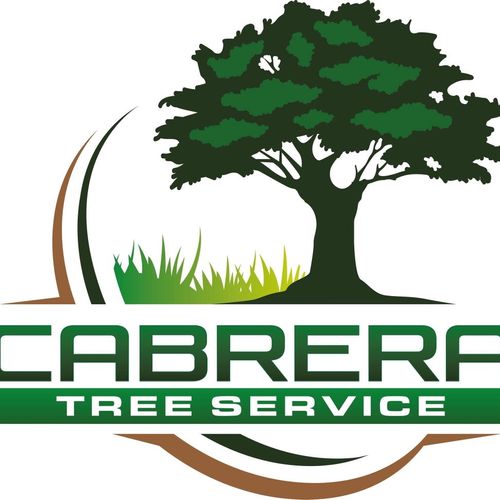 Cabrera tree services LLC