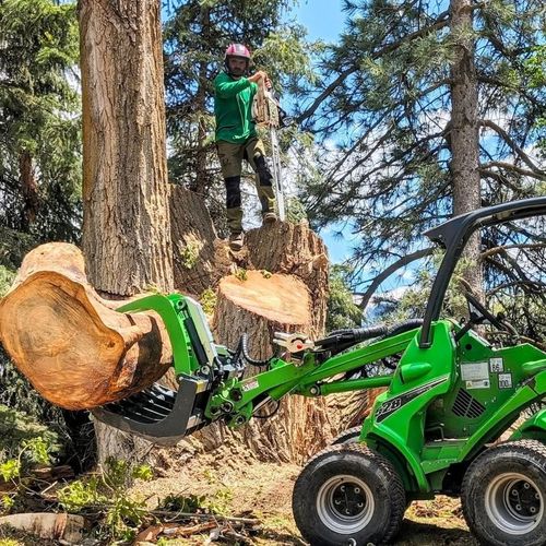 Great Lake Arbor Care