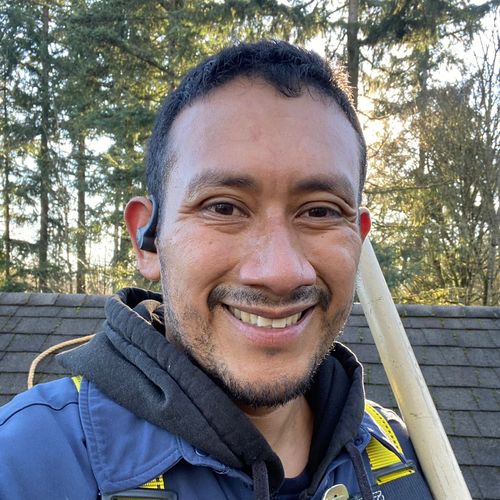 BIG DOGS  SERVICES LLC